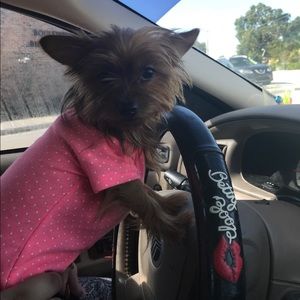 Meet your Posher, Joanna